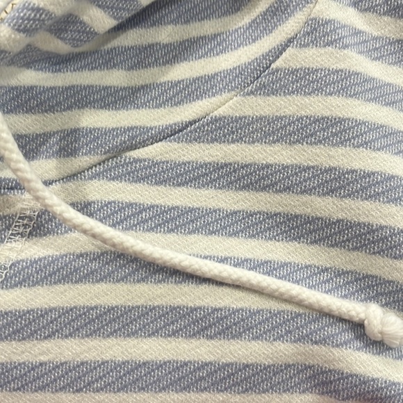 JCrew periwinkle, and white striped hoodie - Picture 4 of 9